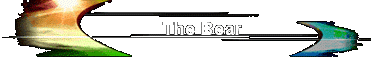 The Bear